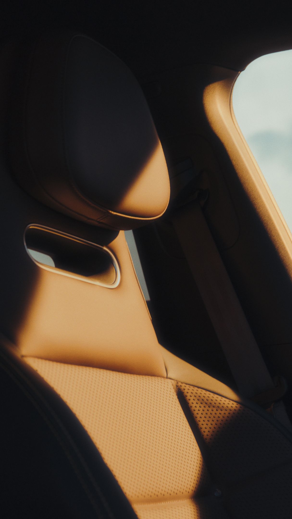 Interno della smart #3 che mostra i sedili e il cielo visibile attraverso il finestrino.